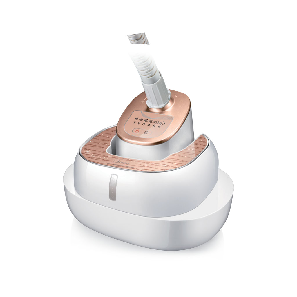 Steam Cleaner