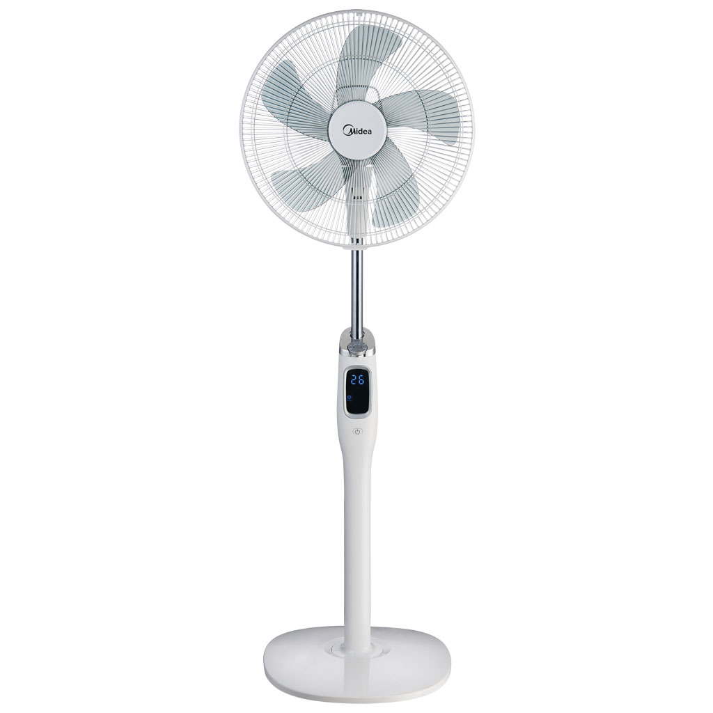 fan